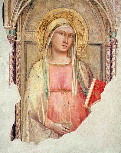 Madonna del Parto by Taddeo Gaddi